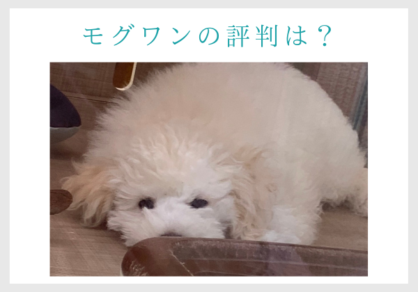 モグワンは楽天で買える 口コミは本当にいいの 成分 悪評まで徹底解説