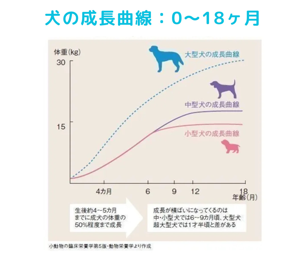 犬の成長曲線のグラフ。oヶ月～18ヶ月の表。小型犬・中型犬・大型犬