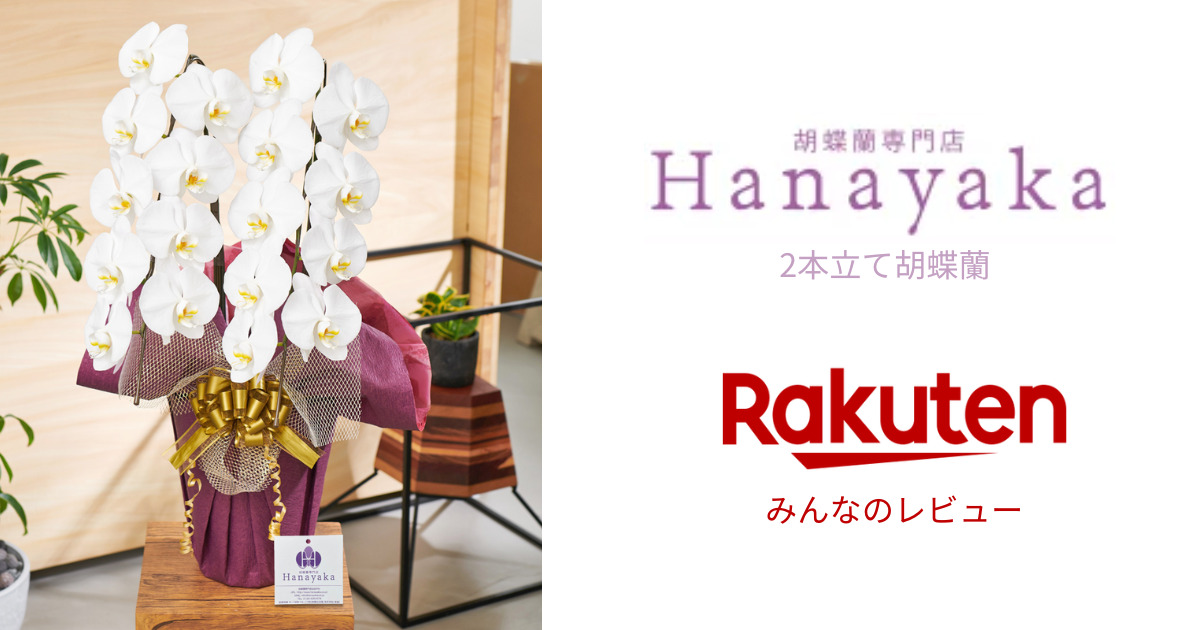 お祝いの10000円の胡蝶蘭。楽天みんなのレビュー「Hanayaka」2本立て胡蝶蘭の良い口コミのアイキャッチ