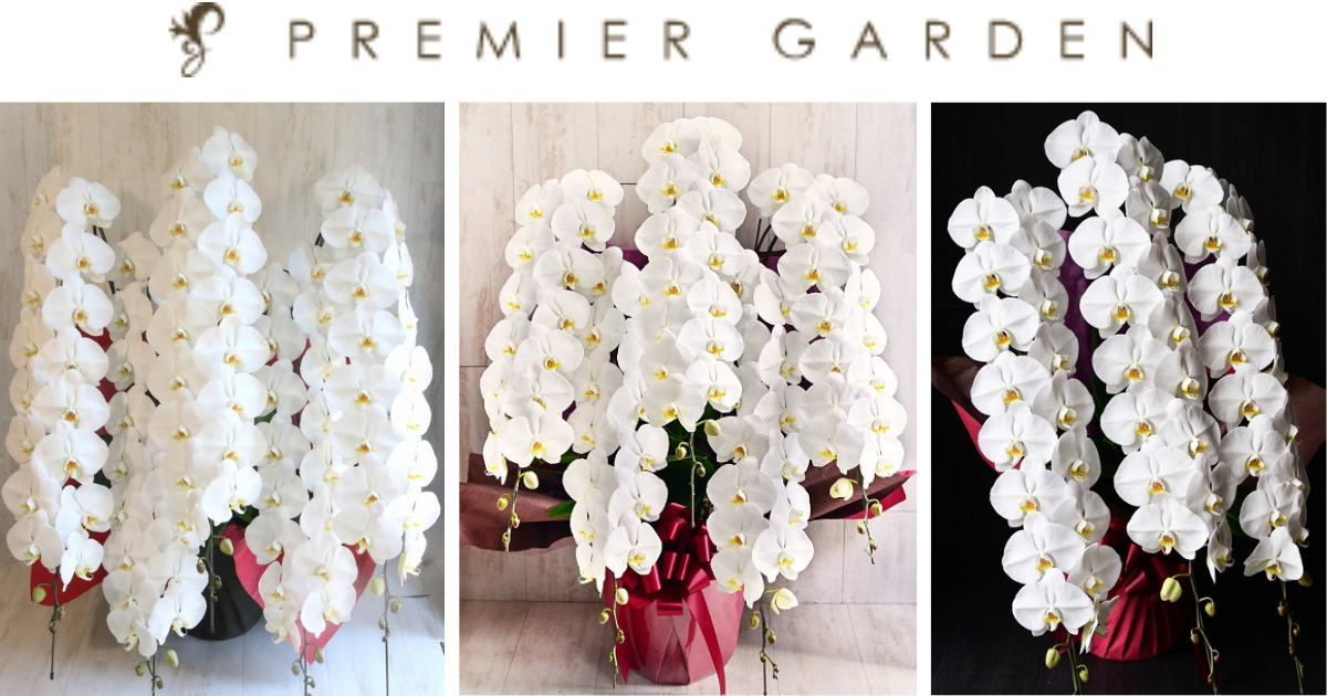 プレミアガーデンpremier gardenの会社情報。プレミアガーデンのビジネスシーンで人気の胡蝶蘭1位～3位の画像