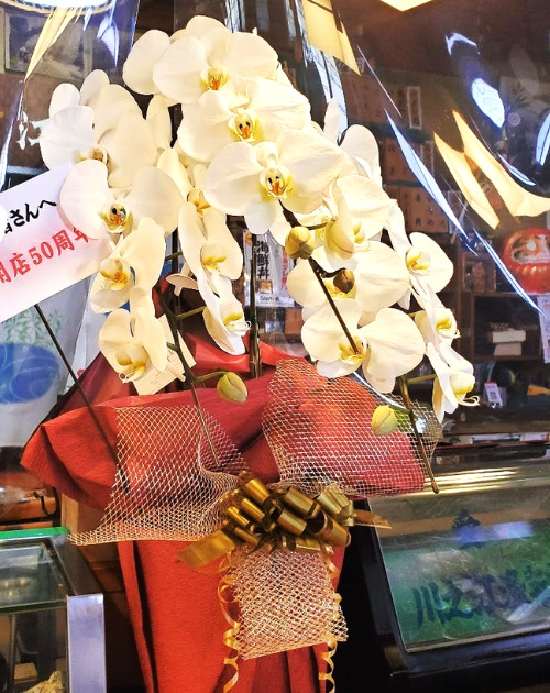 胡蝶蘭をお寿司屋さんの周年祝いに送った口コミの写真画像【楽天みんなのレビュー】