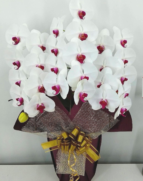 胡蝶蘭を喜寿の祝いに送った口コミの写真画像【楽天みんなのレビュー】