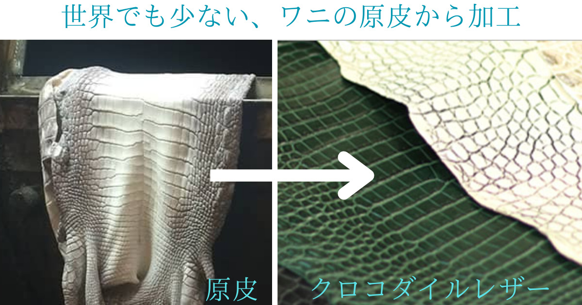 東京クロコダイルは、世界でも少ない原皮から加工する有数のメーカーということで、ダサくない。